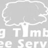 Big Timber Tree Service