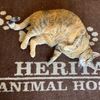 Heritage Animal Hospital