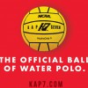 Oregon High School Water Polo Committee