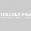 Tuscola Pro Towing & Recovery