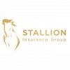 Stallion Insurance Group