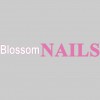 Blossom Nails Buford