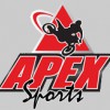 Apex Motorsports