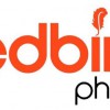 Redbird Physio