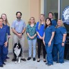 Buckwalter Veterinary Clinic