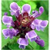 Self-Heal Touch