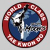 Master Moon's World Class Tae Kwon Do