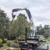 Precision Tree Service