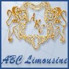 ABC Limousine