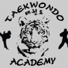 Tae Kwon Do Academy