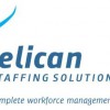 Pelican Staffing Solutions