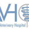 Animal Veterinary Hospital Of Orlando