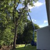 Martin's Tree Service