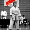 Budo Traditional Karate