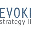 Evoke Strategy