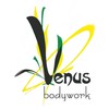 Venus Bodywork