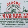 Olague Tree Service & Landscaping