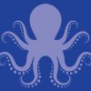 Octopus Pool Service & Repair