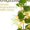 Honeysuckle Acupuncture