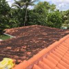 Miami Pressure Washing & Roof Cleaning