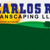 Carlos R Landscaping