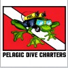 Pelagic Dive Charters