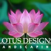 Lotus Designs Landscaping
