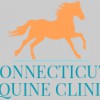 Connecticut Equine Clinic