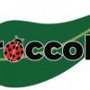 Broccolo Tree & Lawn Care