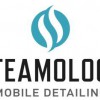 Steamology Mobile Detailing