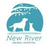 New River Animal Hospital