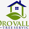 Oro Valley Tree Service