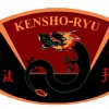 KSR Ultimate Martial Arts