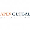 Apex Global Solutions