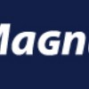 Magnum Insurance