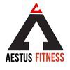 CrossFit Aestus