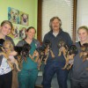 Warrenton Veterinary Clinic