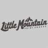 Little Mountain Print Shoppe