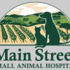 Main Street Small Animal Hospital