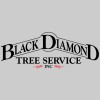 Black Diamond Tree Service