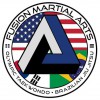 Fusion Martial Arts School