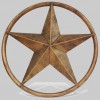 Texas Lone Star Fence