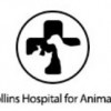 Collins Hospital For Animals