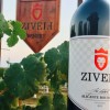 Ziveli Winery