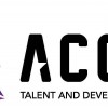 Accel Talent & Development Group