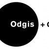 Odgis