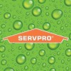 SERVPRO Of Fredericksburg