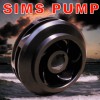 Sims Pump Valve