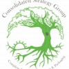 Consolidated Strategy Group