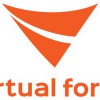 Virtual Force